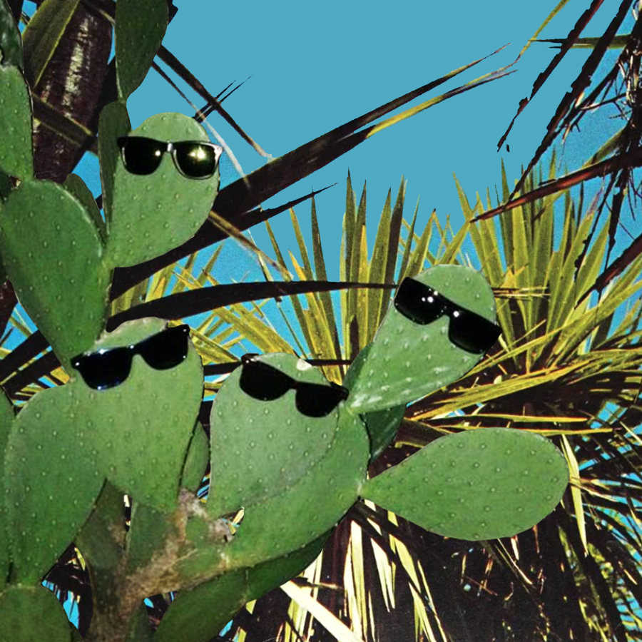 popaganda summer ζώδια - Σκορπιός