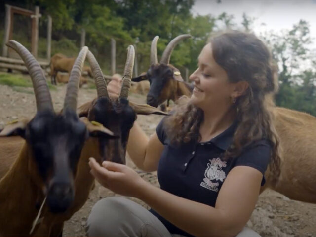 Η Diamante ήταν αρχαιολόγος κι έγινε μια σύγχρονη “βοσκοπούλα” στην Τοσκάνη