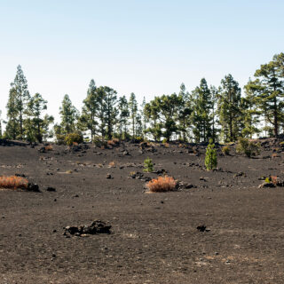 Eρημοποίηση: Η νότια Ευρώπη στα πρόθυρα