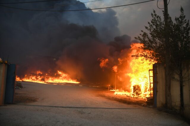 Φωτιά στην Μαγνησία: Εθελοντές έδιωξαν Αυτοδιοικητικούς από το πύρινο μέτωπο [ΒΙΝΤΕΟ]