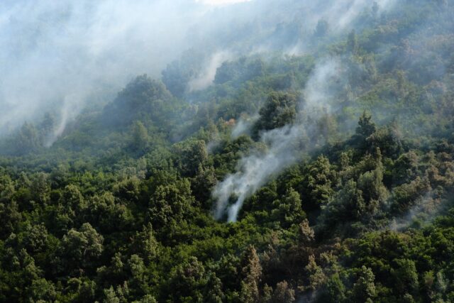 Πυρκαγιές: Οι περισσότερες καμένες εκτάσεις των τελευταίων 13 ετών καταγράφηκαν στα τέλη του φετινού Ιουλίου