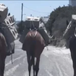 Σαντορίνη: Μουλάρια κουβαλούν τσιμεντόλιθους μέσα στον καύσωνα [ΒΙΝΤΕΟ]