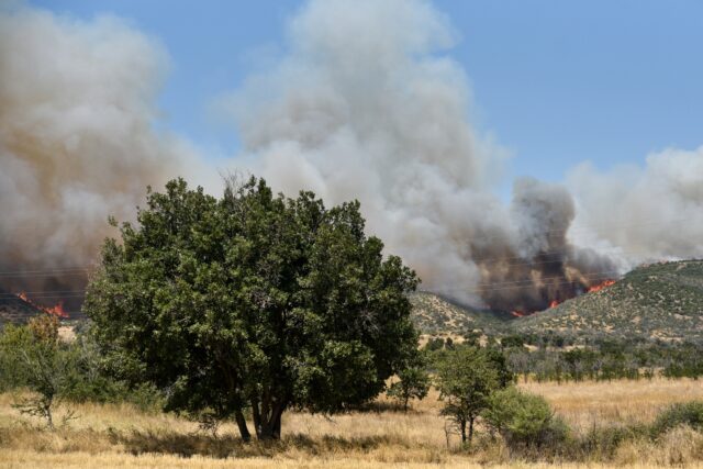 Μαίνεται ανεξέλεγκτη για τρίτη ημέρα η φωτιά στην Αλεξανδρούπολη