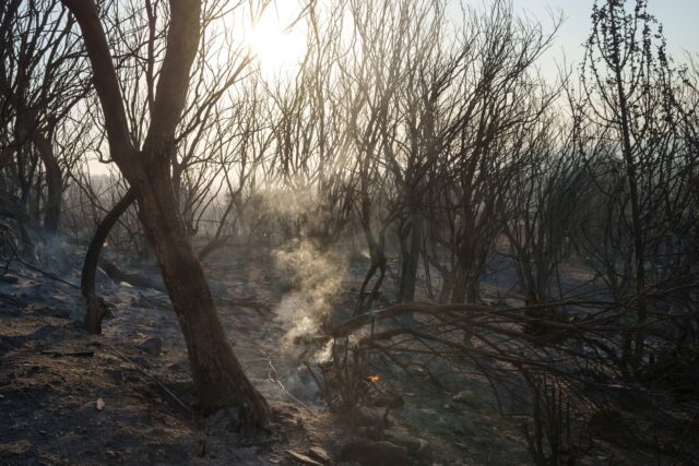Περισσότερα από 400.000 στρέμματα κάηκαν μέσα σε τρεις ημέρες στην Ελλάδα