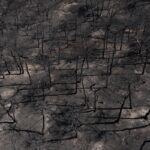 New York Times για Δαδιά: Οι 18 πρόσφυγες ρίσκαραν κι έχασαν τη ζωή τους για να αποφύγουν την επαναπροώθηση