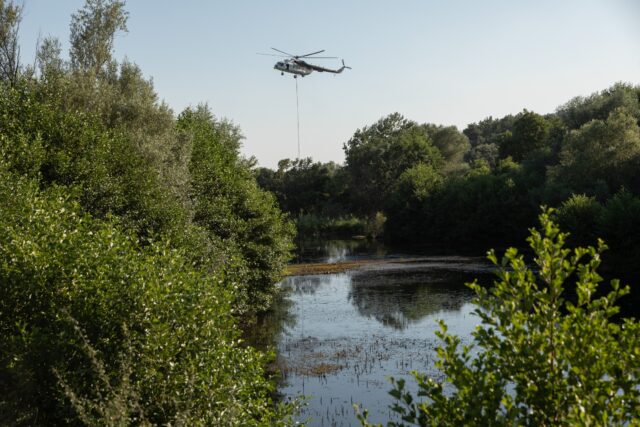 Δύο παιδιά ανάμεσα στους 18 απανθρακωμένους ανθρώπους στο δάσος της Δαδιάς