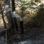 Αλεξανδρούπολη: Αγώνας να σωθεί ο οικισμός της Δαδιάς