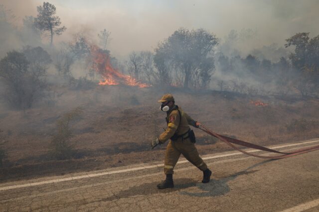 Σέρρες: Πυρκαγιά σε δασική έκταση στον Γάζωρο