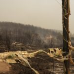 Έβρος: Δύο τα εναπομείναντα μέτωπα της πυρκαγιάς