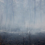 Γ. Αρτοποιός για την πυρκαγιά στην Αλεξανδρούπολη: Σε δύο μέρες έχουν εκκενωθεί 13 οικισμοί