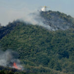 Πυρκαγιά στην Αλεξανδρούπολη: Μεγάλη αναζωπύρωση στη Νίψα, σε πλήρη εξέλιξη το μέτωπο στο Μοναστηράκι