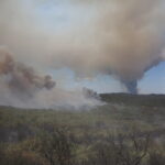 Αλεξανδρούπολη: Μέχρι χθες κάηκαν περισσότερα από 55.000 στρέμματα