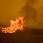 Νέα πύρινα μέτωπα σε Μακρακώμη Φθιώτιδας και Κρυονέρι Αιτωλοακαρνανίας