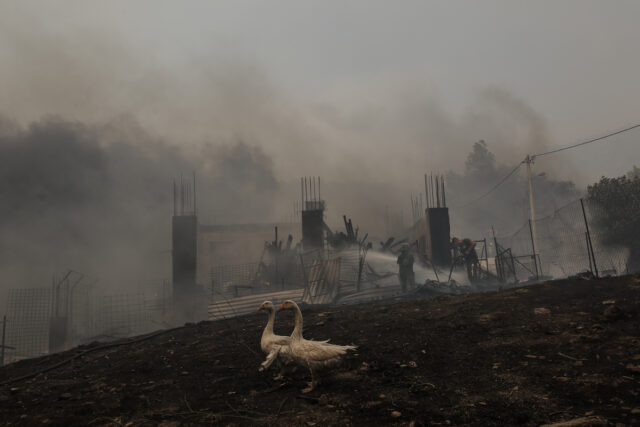 Φωτιά στην Πάρνηθα: Φθάνουν στον Εθνικό Δρυμό οι φλόγες – Καίγονται σπίτια