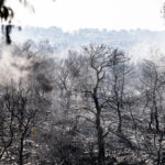 Υπό έλεγχο τέθηκε η πυρκαγιά στον Αυλώνα