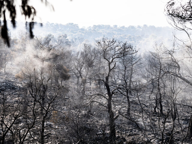 Υπό έλεγχο τέθηκε η πυρκαγιά στον Αυλώνα