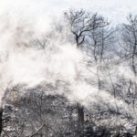Σύλληψη για εμπρησμό στον Αυλώνα: Αρνείται την κατηγορία ο 45χρονος
