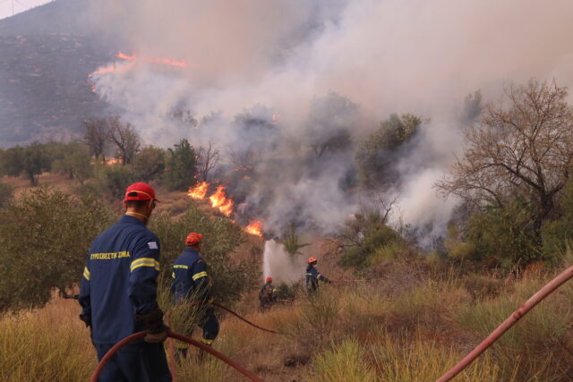 Πυρκαγιές: Μάχη με τις αναζωπυρώσεις σε Έβρο και Ροδόπη – Διάσπαρτες εστίες στην Πάρνηθα
