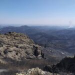 Έβρος: Αποκαρδιωτικές εικόνες από το δάσος της Δαδιάς, πριν και μετά τις φωτιές