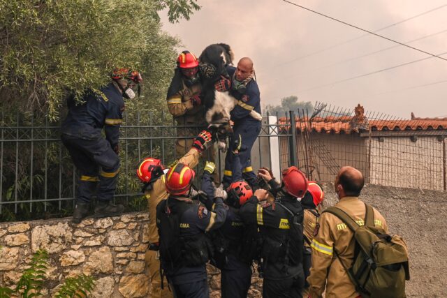 Πυρκαγιά στην Πάρνηθα: Εκκενώνονται οι οικισμοί Αγία Παρασκευή Μενιδίου και Καποτά