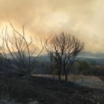 Έβρος: Κάηκαν σπίτια στην Κίρκη