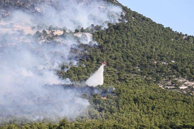 Νέα εστία φωτιάς στον Αυλώνα – Απειλεί τον Εθνικό Δρυμό Πάρνηθας