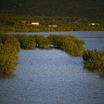 Αγνοείται ψαράς στη λίμνη Κάρλα – Πυροσβέστες στο σημείο