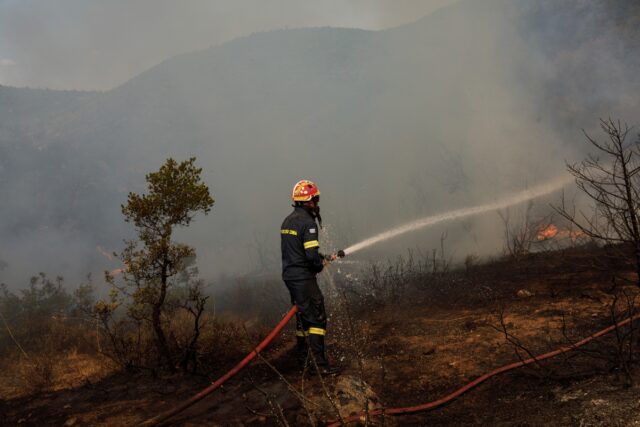 Ναύπλιο: Πυρκαγιά σε δασική έκταση στην περιοχή Προσύμνη της Αργολίδας