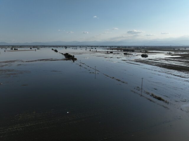 Θεσσαλία: Το μέγεθος της καταστροφής από τις πλημμύρες στις αγροτικές καλλιέργιες