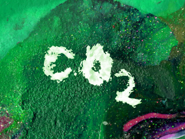 Τα βακτήρια που «τρώνε» CO2: Μια ελπίδα για τους κλιματικούς στόχους;