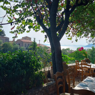 Φθινοπωρινή εξόρμηση στη Μεσσηνιακή Μάνη, για γαλατόπιτα με σύκα και γουρουνόπουλο με την τραγανή πέτσα του