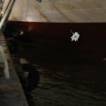 Έγκλημα Blue Horizon: Το μεσημέρι στην Κρήτη η κηδεία του 36χρονου Αντώνη