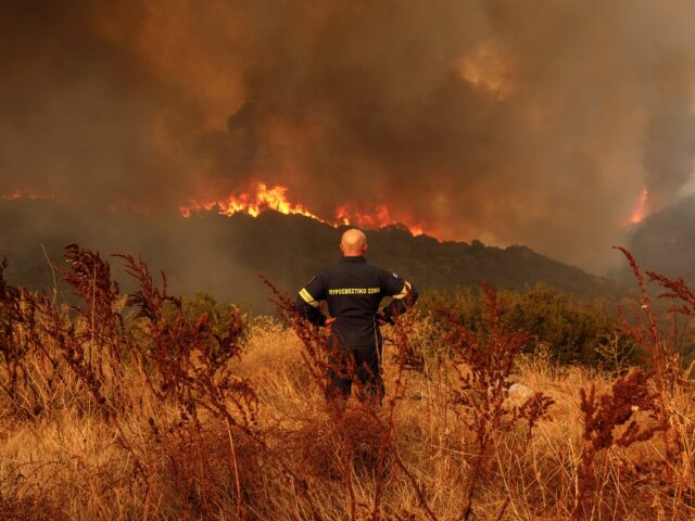 WWF: «Το Πυροσβεστικό Σώμα δεν έχει την ικανότητα να αντιμετωπίσει δασικές πυρκαγιές»