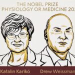 Στους Καταλίν Κάρικο και Ντρου Γουάισμαν το Νόμπελ Ιατρικής