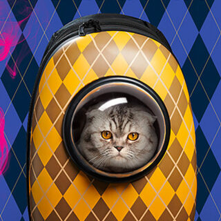 Είναι η Taylor Swift η κρυφή συγγραφέας του πολυαναμενόμενου κατασκοπικού θρίλερ;