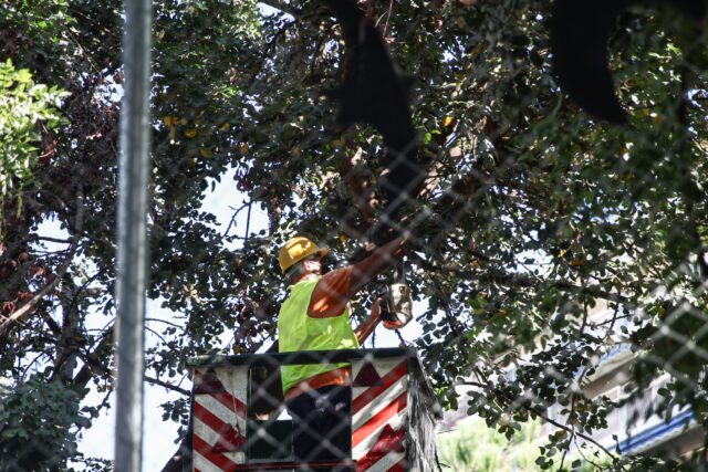 Τέσσερις προσαγωγές πολιτών που διαμαρτύρονταν για το κόψιμο δέντρων στην πλατεία Εξαρχείων