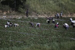 Τροπολογία για το Μεταναστευτικό: «Ικανοποιείται ένα πάγιο αίτημα των μεταναστών για νομιμοποίηση»