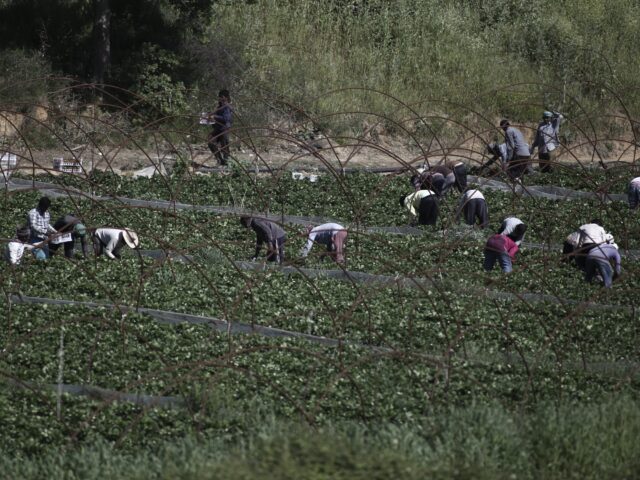 Τροπολογία για το Μεταναστευτικό: «Ικανοποιείται ένα πάγιο αίτημα των μεταναστών για νομιμοποίηση»