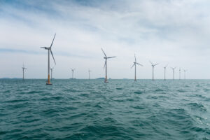 Υπεράκτια αιολικά πάρκα: Αναγκαία η προστασία της βιοποικιλότητας πριν την ενεργειακή μετάβαση