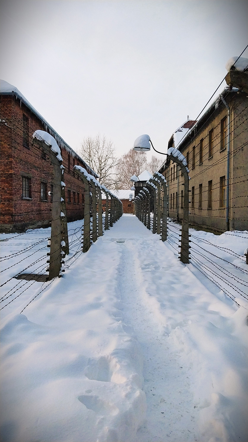 Συρματοπλέγματα στο Άουσβιτς Ι