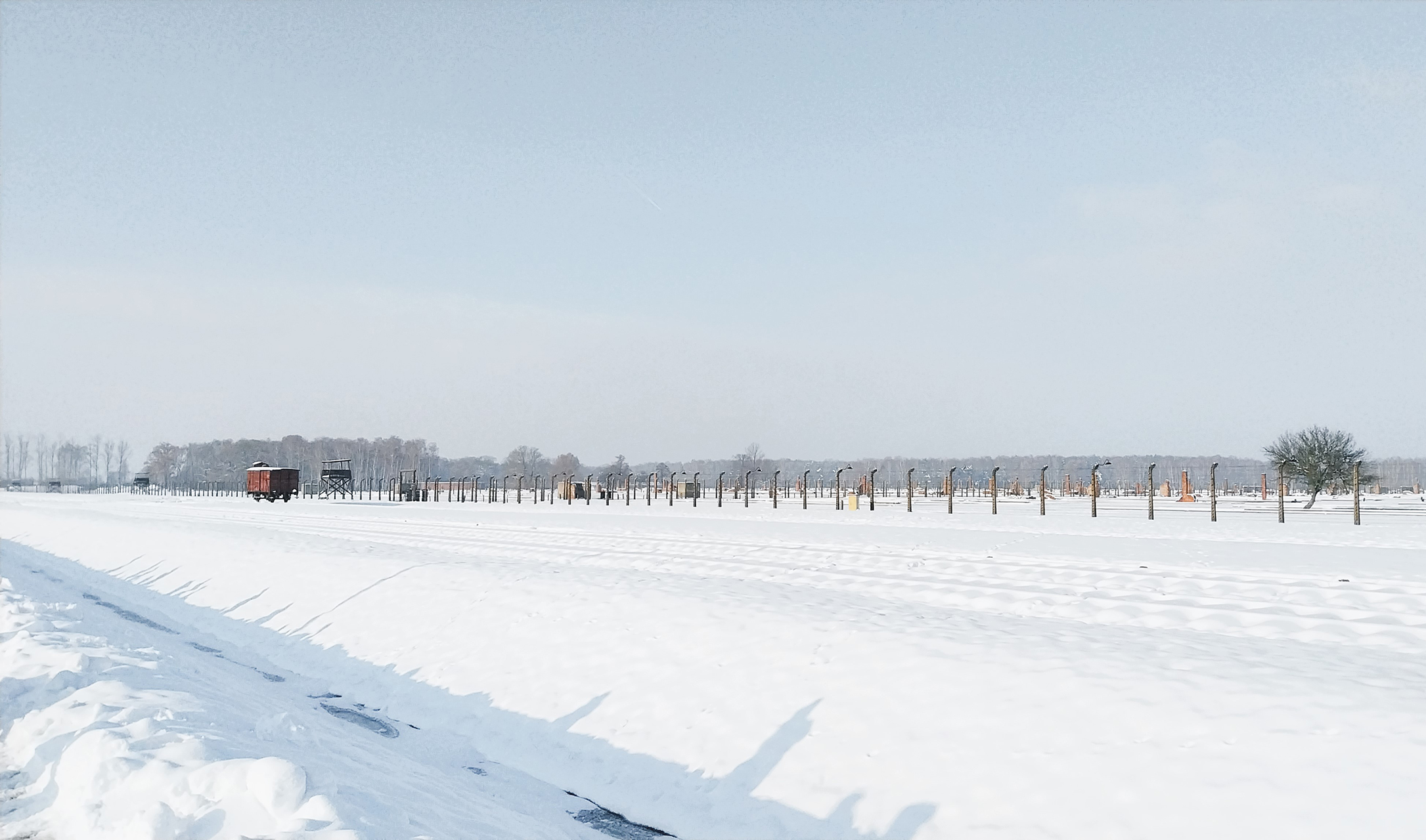 Άουσβιτς-Μπίρκεναου 