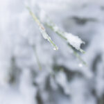 Καιρός: Τους 38°C φθάνει η διαφορά θερμοκρασίας ανάμεσα στη Δυτική Μακεδονία και τα Δωδεκάνησα