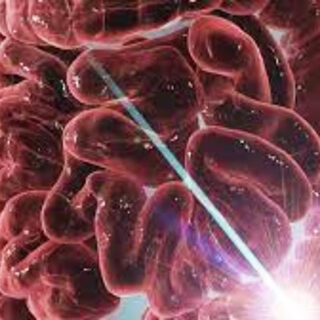 Οι παρεμβάσεις στη διάθεση μπορούν να μειώσουν τη φλεγμονή στη νόσο του Crohn και την ελκώδη κολίτιδα