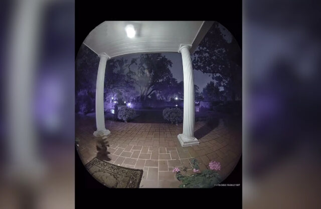 Κάμερα απαθανάτισε ρακούν να τρέχει μπροστά από ένα σπίτι κάνοντας κατακόρυφο