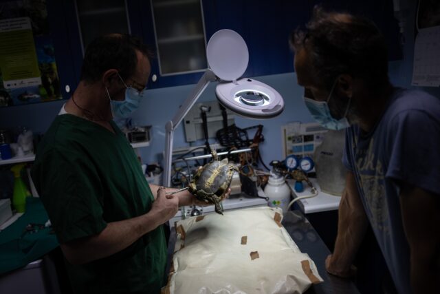 ΕΣΥ: Τα τέσσερα νοσοκομεία στην Αττική που ξεκινούν απογευματινά χειρουργεία