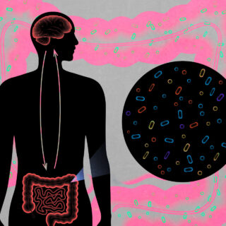 Η ασθένεια της Κέιτ Μίντλετον αναζωπύρωσε τη συζήτηση: Είναι το έντερο ο δεύτερος εγκέφαλός μας;
