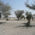 Αφρική: Η «ανθρωπογενής» κλιματική αλλαγή προκάλεσε τον φονικό καύσωνα στο Σαχέλ