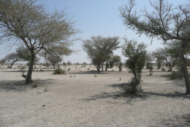 Αφρική: Η «ανθρωπογενής» κλιματική αλλαγή προκάλεσε τον φονικό καύσωνα στο Σαχέλ
