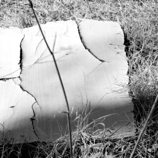 Η ποιητική γραφή στον τεχνοκριτικό και επιμελητικό λόγο: Ανάμεσα στη διατάραξη και την αμεσότητα του νοήματος