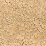 Κλιματική κρίση: Επιπλέον 26 ημέρες καύσωνα καταγράφηκαν κατά μέσο όρο παγκοσμίως τους προηγούμενους 12 μήνες